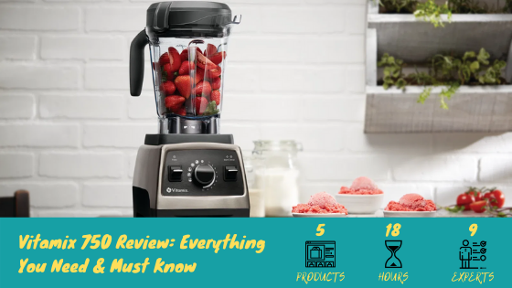 750 Review – Professional Is this Blender it?